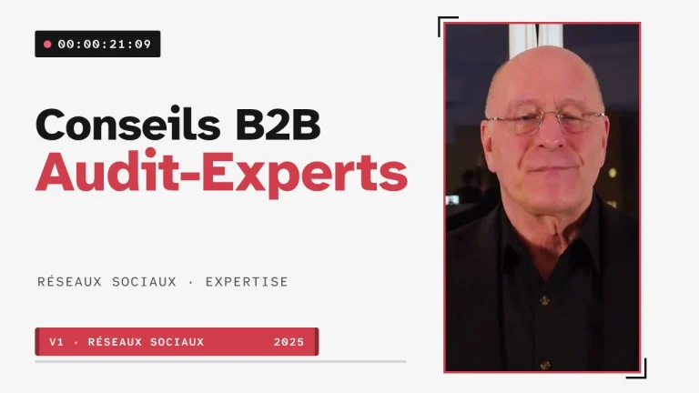 Audit-Experts, conseils B2B